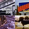 Videos: Revisiting <em>Brooklyn Bridge</em>, <em>The Bronx Zoo</em>, And <em>Spin City</em>